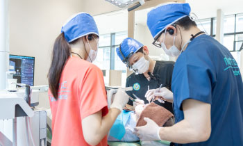 むし歯菌が感染した歯質や歯髄を除去 消毒後、充填剤を入れて密封